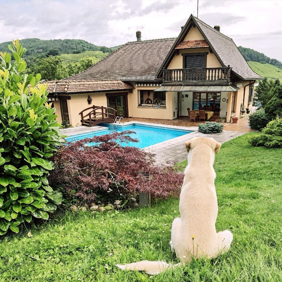 Chez Aude Appartement Andlau-au-Val Buitenkant foto
